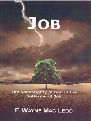 cover image of Job